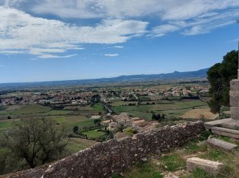 Excursión Senderismo Montpeyroux - Le bary Arboras le Castelas - Photo