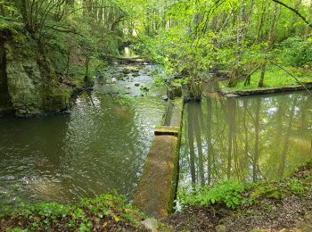 Randonnée Marche Pernay - 2019.05.02-8,9km-Pernay - Photo