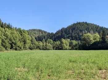 Randonnée Marche Sainte-Sigolène - ste sigolene - boucle de vaubarlet - Photo