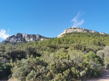 Trail Walking La Farlède - sommet du Coudon en partant de La Farlède - Photo