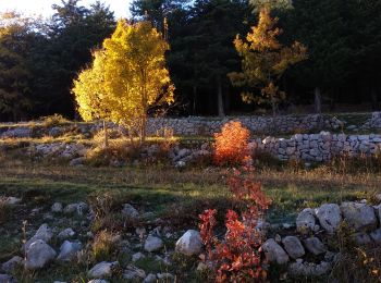 Tocht Stappen Saint-Vallier-de-Thiey - Face Sud de la montagne de Thiey - Photo