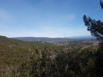 Tocht Trail Nans-les-Pins - Sources de l'Huveaune par le chemin des Roys - Photo