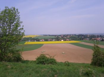 Randonnée A pied Gemeinde Purkersdorf - Wilfersdorf - Hadersdorf - Photo