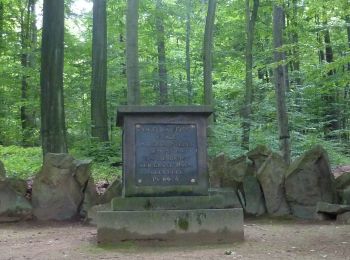 Tocht Te voet Herrnhut - OL-Grüner Punkt - Herrnhut-Bernstadt - Photo