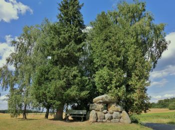 Percorso A piedi Wonsees - Rundwanderweg blauer Ring - Photo