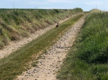 Excursión Bici de montaña Amiens - Gouy par la Maison Blanche et Velennes - Photo