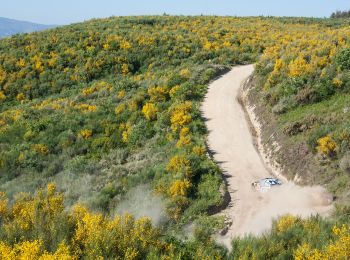 Tocht Te voet Campelo e Ovil - Trilho das Florestas Naturais - Photo