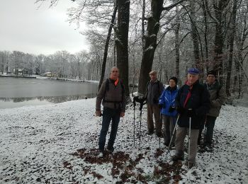 Randonnée Marche Le Haut-Soultzbach - Lac de la Seigneurie (10/01/2019) - Photo