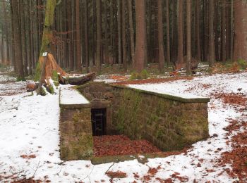 Randonnée A pied Trippstadt - Wanderweg Trippstadt 5 - Photo