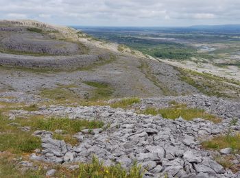 Randonnée Marche West Clare Municipal District - 190705BurrenNationalPark - Photo