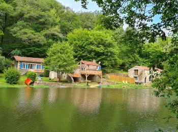 Randonnée Marche Vouvant - rando Mervent le 20 Mai 2021 - Photo