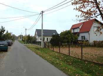 Tocht Te voet  - Szlak spacerowy po Rezerwacie przyrody Łężczok - Photo