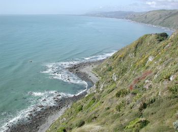 Excursión A pie  - Ara Harakeke (Flax Way) shared path - Photo