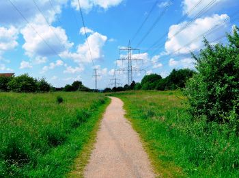 Randonnée A pied Haan - Haan Rundweg A1 - Photo