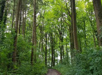 Trail Walking Vaals - 2021-07-14_08h55m00_1431 - Photo