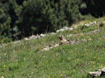 Tour Wandern Eyne - La vallée d'Eyne - Photo