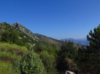 Tocht Lopen Menton - Mont Carpano - Photo