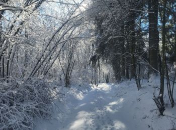 Tocht Stappen Amel - Alentours Schoppen - Photo
