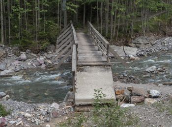 Tocht Te voet Bergün Filisur - Station Stuls-Bellaluna - Photo