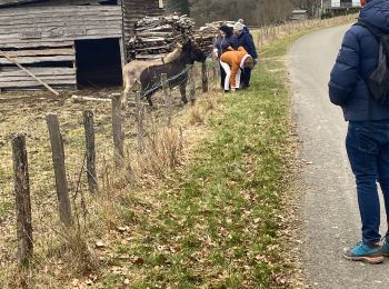 Randonnée Marche Bertogne - Bretogne SALLE - Photo