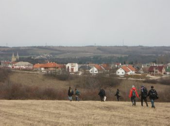 Percorso A piedi Zirc - Reguly Antal Emlékút-Zirc35 túraútvonal - Photo