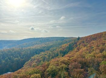 Percorso A piedi Brno - 5 km červená - Photo