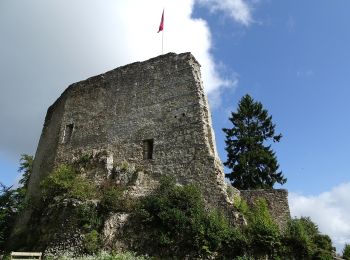 Tour Zu Fuß Zuzgen - Zuzgen Postauto - Schlegel - Photo