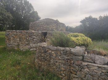 Tocht Stappen Nîmes - Le Clos de Gaillard - été - Photo