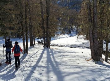 Randonnée Raquettes à neige Méolans-Revel - EMBRUN JOUR 5 : Valon du Lavercq - Photo