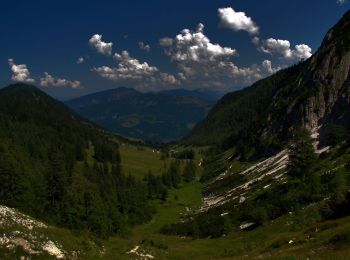 Excursión A pie Gemeinde Kössen - Walchsee - Habersauertal - Feldalm - Feldalmsattel - Photo