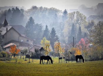 Randonnée A pied Zagreb - Staza 55 - Photo