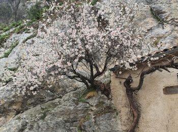 Tocht Stappen Moustiers-Sainte-Marie - 2023-03-11 Moustiers - Vincel - Venascle  - Photo