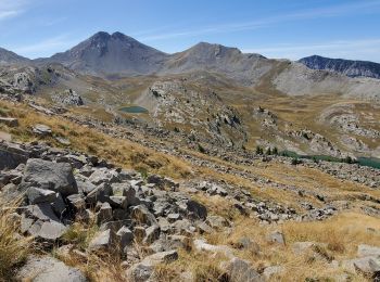 Tocht Stappen Colmars - clignon encombrette - Photo