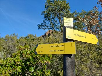 Excursión Senderismo Le Muy - Le Castel Diaou  -  Crête Fille d'Isnard depuis le pont de L'Endre - Photo