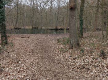 Tour Wandern Fleurus - Soleilmont  seniors - Photo