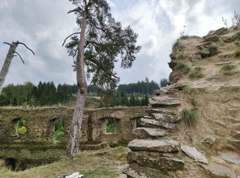 Randonnée A pied Konstantinovy Lázně - NS Šipín - Photo