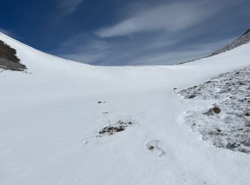 Randonnée Marche Saint-Dalmas-le-Selvage - Cime de la Blanche  - Photo