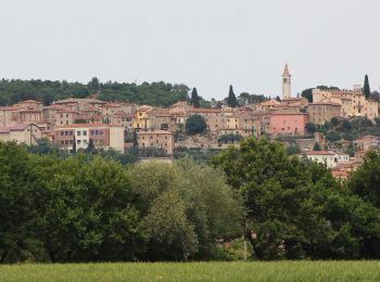 Trail On foot Rapolano Terme - IT-506 - Photo