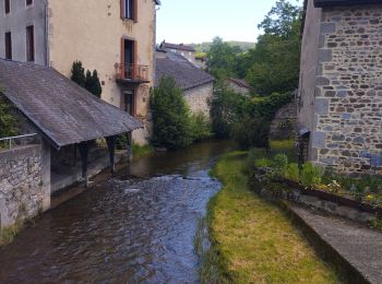 Excursión Ruta Ferrières-sur-Sichon - circuit du moulin neuf  - Photo