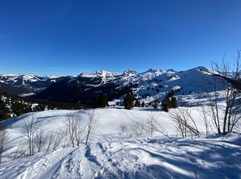 Randonnée Raquettes à neige Châtel - Plaine Dranse - Pointe de Lens - Pré la Joux - Photo