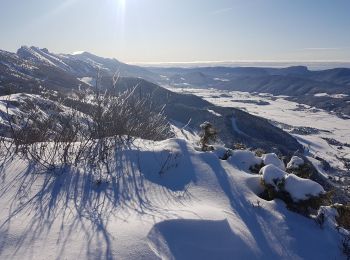 Tour Schneeschuhwandern Lans-en-Vercors - Le Belvédère des Cimes par la cabane des Ramées et retour par la Croix des Ramées  - Photo