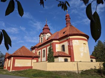 Percorso A piedi Štětí - [M] Štětí - Ledčice - Photo