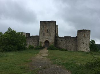 Trail Walking Puivert - Château de Puivert - Photo