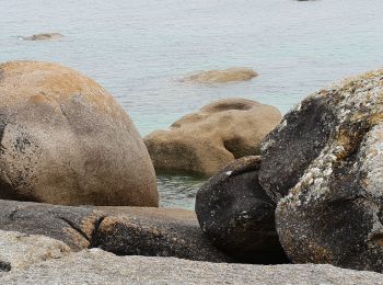 Excursión Senderismo Plounéour-Brignogan-Plages - 07.07.19. Brignogan-Plage à Phare Pontusval - Photo