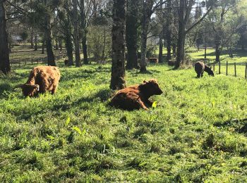 Tour Wandern Rezé - 25 mars 2020 - Photo