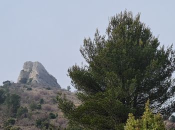 Excursión Senderismo Auriol - cauvin bertagne roqueforcade - Photo