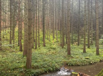 Trail Walking Marche-en-Famenne - Griembiemont - Photo