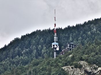 Tocht Te voet Martigny-Combe - Chemin pédestre de montagne, région Martigny - Photo