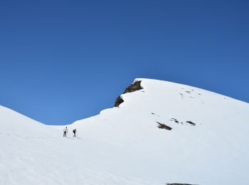 Trail On foot Varzo - F22 alpe veglia bivio SI, lago bianco, passo di Boccareccio - Photo