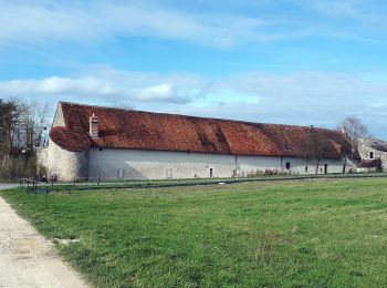 Percorso A piedi Huisseau-sur-Cosson - Château de Saumery - Photo